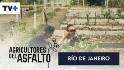 Agricultores del Asfalto | Río de Janeiro