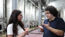 What and how premium Abkhazian wines are made