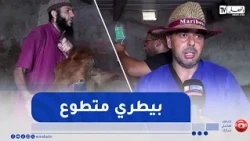 Jijel: Veterinary volunteers save livestock affected by wildfires