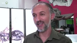 8,000 New Insect Species Identified in Ecuador Through DNA