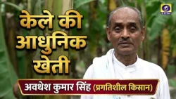New Thinking, New Identity: A Success Story of Banana Farming | Progressive Farmer Awadhesh Kumar...