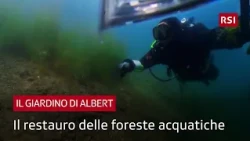 How is the lakebed of Lake Lugano being regenerated? | Il Giardino di Albert | RSI