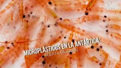 Microplastics in Antarctica: Global Alert - TvAgro by Juan Gonzalo Angel