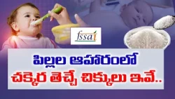 బేబీ ఫుడ్‌లో షుగర్ ఎక్కువా? తల్లిదండ్రులు తప్పక తెలుసుకోవాల్సిన నిజాలు || Idisangathi