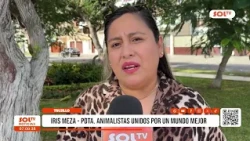 Trujillo: Calls for exemplary punishment for owner of dogs that killed pregnant cat