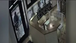Video shows attempted smash-and-grab at Chicago business; 1 of at least 13 hit overnight