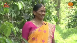 Smart Soseyandiru | ಸ್ಮಾರ್ಟ್ ಸೊಸೆಯಂದಿರು...| EP-67 | 30.08.2026 | DD Chandana