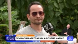 Alleged damage to native forest and water source in Armenia reported