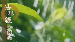 【靜思妙蓮華】法華經方便品第二 - 知苦明諦勤精進 - 第229集｜共修版