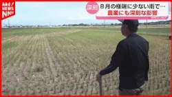 "Waiting for rain": Kumamoto City sees only 2mm of rainfall in August; Amakusa dam levels drop be...