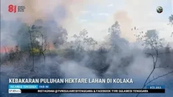 DOZENS OF HECTARES OF LAND BURN IN KOLAKA