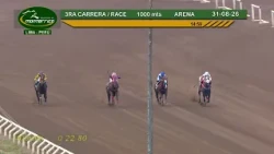 Hipódromo Monterrico - 3ra Carrera  31 Agosto 26