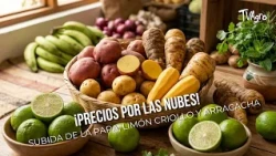 Sky-High Prices! Surge in Potato, Common Lime, and Arracacha Costs - TvAgro by Juan Gonzalo Angel
