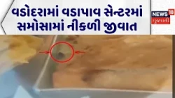 Vadodara Insect in Food |વડોદરામાં વડાપાવ સેન્ટરમાં સમોસામાં નીકળી જીવાત |Viral Video |Gujarati News