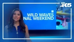 Final days at Wild Waves: the end of a 50-year era