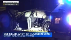 Driver killed, 1 other hurt after crashing into tree, Rolling Meadows police say