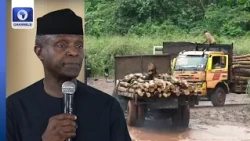 Ex-VP Yemi Osinbajo Emerges Nigerian Conservation Foundation BoT President