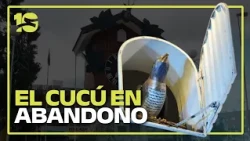 GREAT CONCERN OVER THE HEALTH OF THE CUCKOO OF CARLOS PAZ