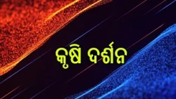 Krushi Darshan || କୃଷି ଦର୍ଶନ || ପିଜୁଳି ଏବଂ ପାନ ଚାଷର ଆଧୁନିକ ପ୍ରଣାଳୀ || 17th August 2026