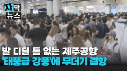 [Subtitle News] From 'Rip Currents' to High Waves... Half of Jeju's Beaches Closed