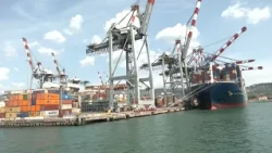 Port, Pisano reviews his first year as president of the AdSP 07-23-2026