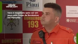 Cow rescued by Fire Department after falling into a well in Parnaíba