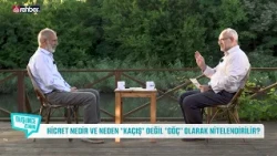 The Concept of Hijrah in Islamic Culture | Vahdettin İnce | Düşünce Zemini