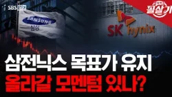 [Key Strategy] Samsung and SK Hynix stock stagnation: Are even positive developments useless?