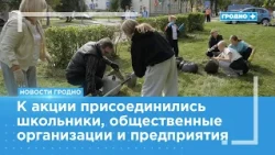 17th of September Street cleaned up for National Unity Day