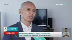ИНТЕЛЛЕКТУАЛЬНАЯ СОБСТВЕННОСТЬ ПОД ЗАЩИТОЙ НОВОЙ КОНСТИТУЦИИ
