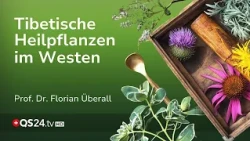Tibetan Medicine in the West: Bridging Tradition and the Future | QS24