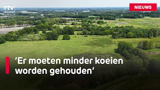 Farmers in Drenthe must make sacrifices in the fight against nitrogen | RTV Drenthe