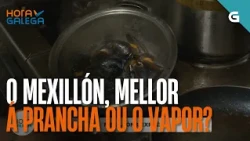 O mexillón, mellor á PRANCHA ou o VAPOR? | HORA GALEGA
