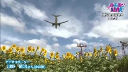 #Link with Everyone: August 2026 Monthly Award "Airplane Flying Over a Sunflower Field"