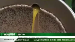 ЗЕХТИН: Заради сушата се очаква ново поскъпване
