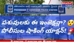 “పాల కోసం... ఇదేం దందా? 😲”“నిషేధిత ఇంజెక్షన్లు అమ్ముతూ అరెస్ట్!”....| BT