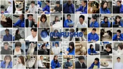 Work in Wakayama! Company Guide [Marusho Co., Ltd.]