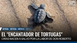 Father and daughter turn their home into a sea turtle sanctuary in Coyuca