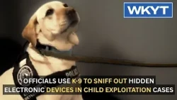 Officials use K-9 to sniff out hidden electronic devices in child exploitation cases