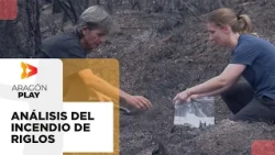 University of Zaragoza scientists analyze the terrain affected by the Riglos fire
