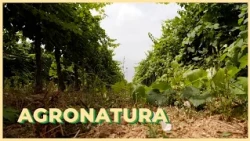 07/24/2026 - Agronatura