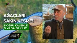 Why We Fail When Switching Varieties: Golden Tips from a 40-Year Walnut Expert