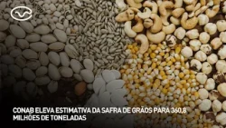 Conab raises grain harvest estimate to 360.8 million tons