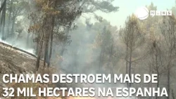 Flames destroy over 32,000 hectares in Spain
