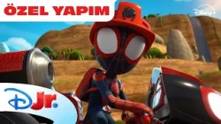 Ghost-Spider ve Spin Görevde | Marvel Spidey ve İnanılmaz Arkadaşları | @DisneyPlusTR