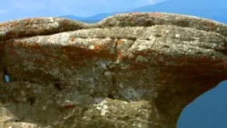 Film  Bucegi