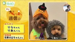 [No. 118] Introducing Your Cute Pets! "My Pet Report"