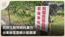 Taitung Electric Fencing to Protect Crops 19:00