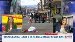 The Pulse of Chile: Gaps and Challenges in the Los Ríos Region