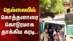 🔷News18 Tamil Nadu | Mason injured in bear attack